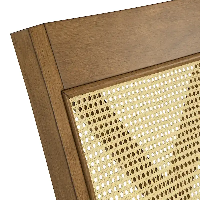 Plaga X-Back Cane Accent Dining Chair (Set of 2) by  - Dining Chair