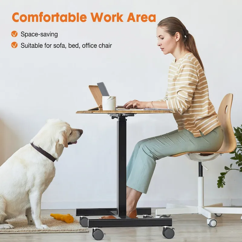 Mobile Rolling Standing Desk with Adjustable Height