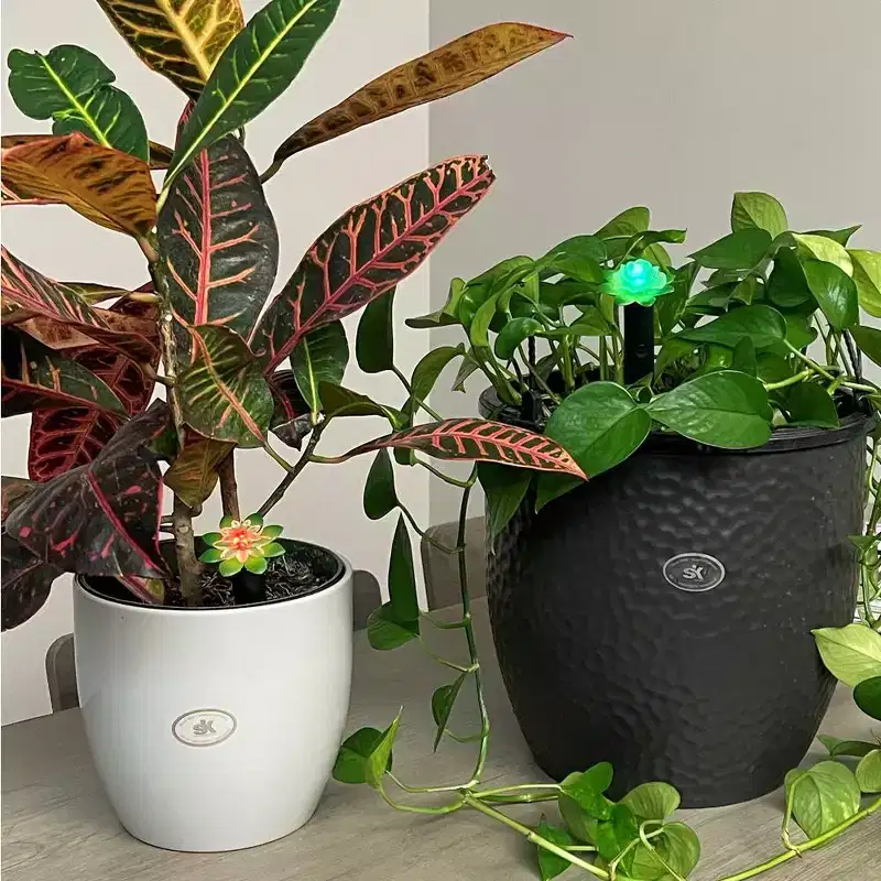 Tierra Garden Moisture Sensor Plant Alarm 2 Piece Kit - Standard 8L, Tall 10.5L