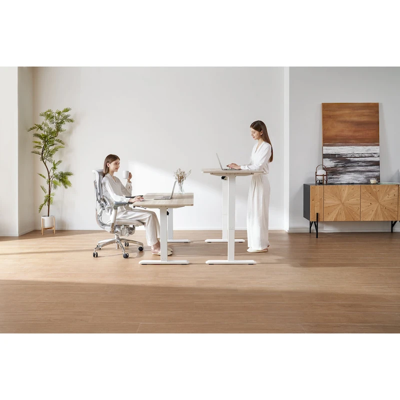 Sihoo D03 Office Desk, Height-Adjustable Standing Desk