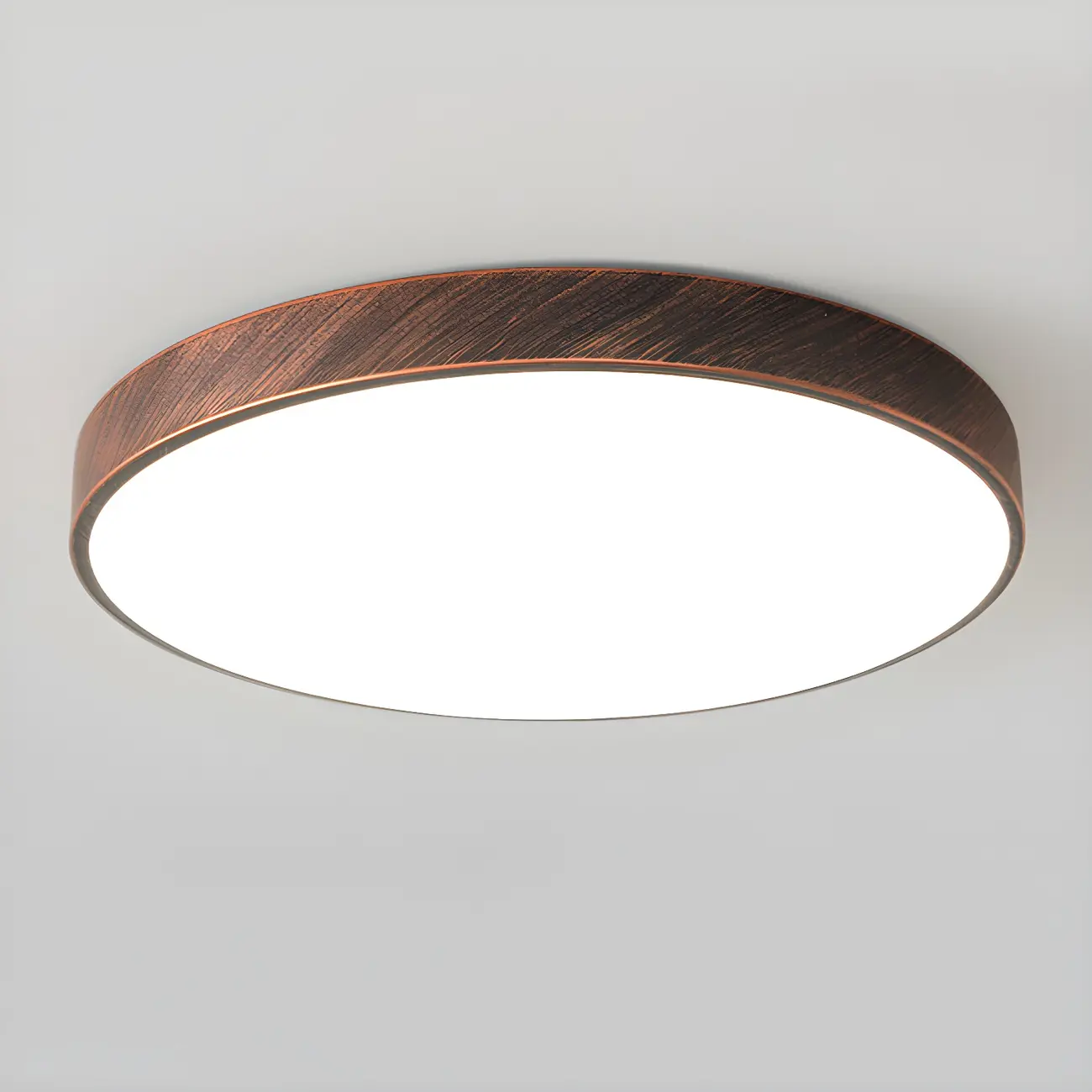 Minimalist Round Rust LED Dimmable Flush Ceiling Light