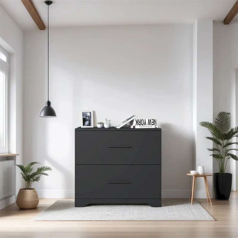 2-Drawer Storage Filing Cabinet