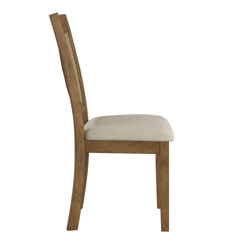 Plaga X-Back Cane Accent Dining Chair (Set of 2) by  - Dining Chair