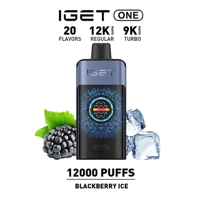 New IGET ONE 12000 Puffs 15 Flavors