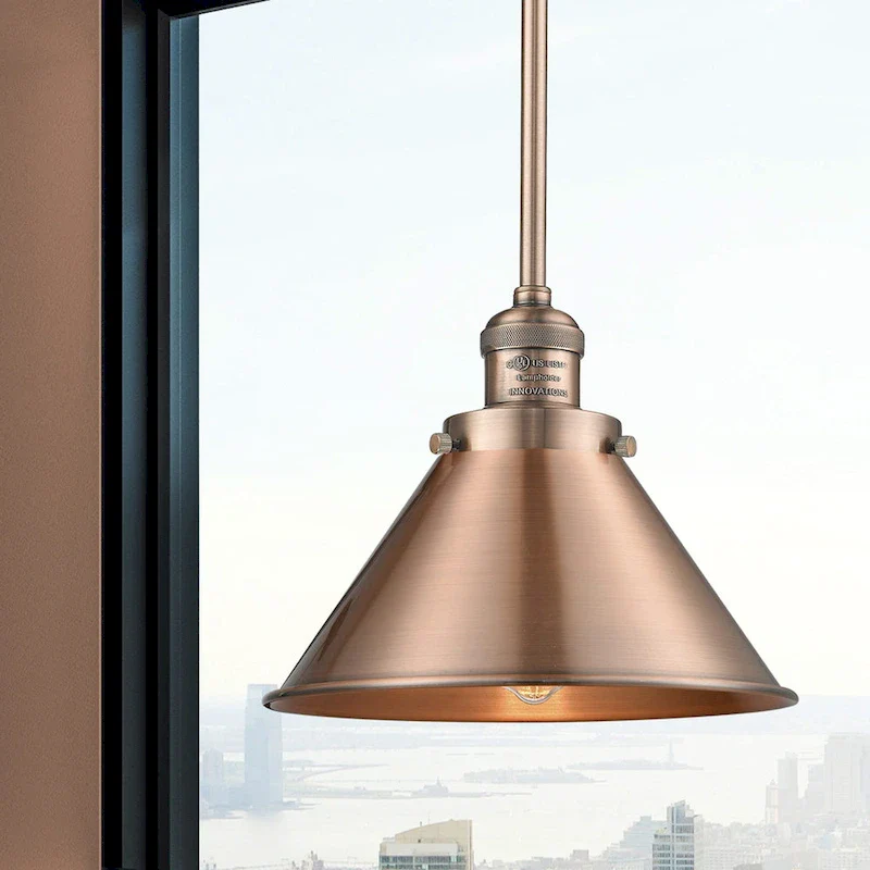 Innovations Lighting Briarcliff - 1 Light 10  Mini Pendant