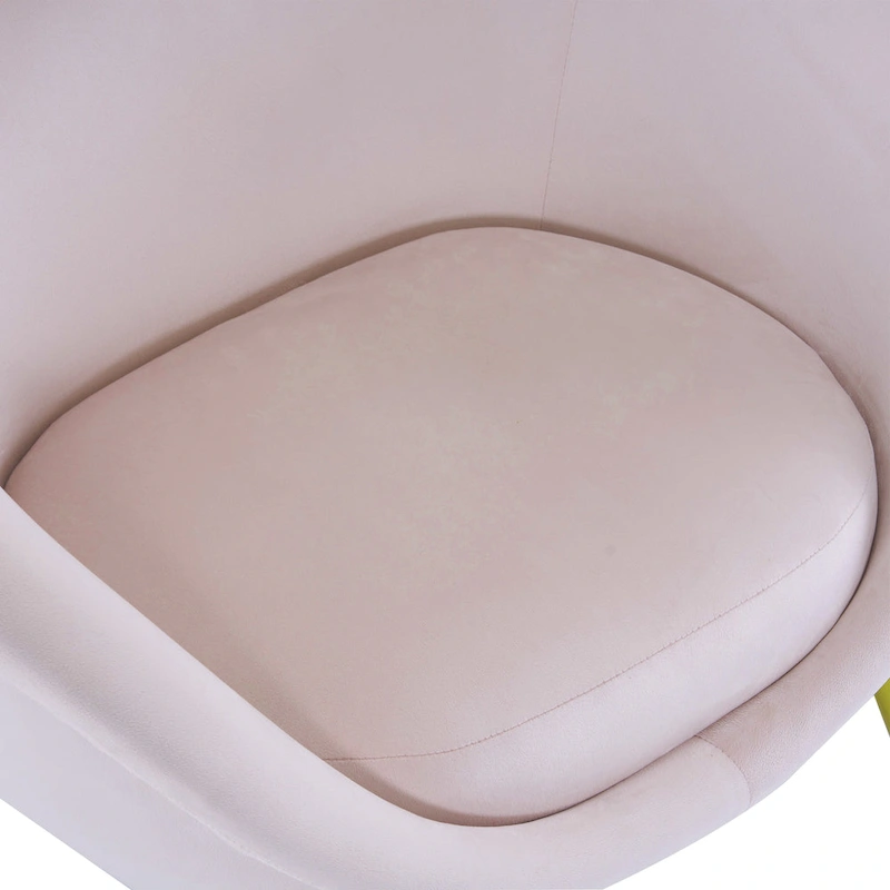 Christopher Knight Home - Eliana Modern Teddy Fabric Accent Chair with Curved Backrest and Gold Legs