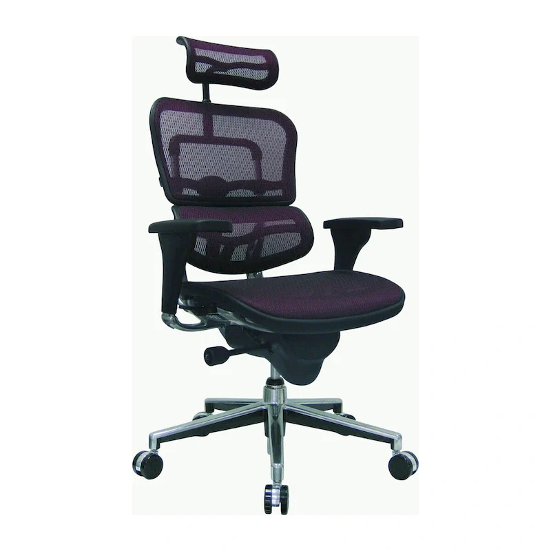 Ergohuman Mesh Managers Chair