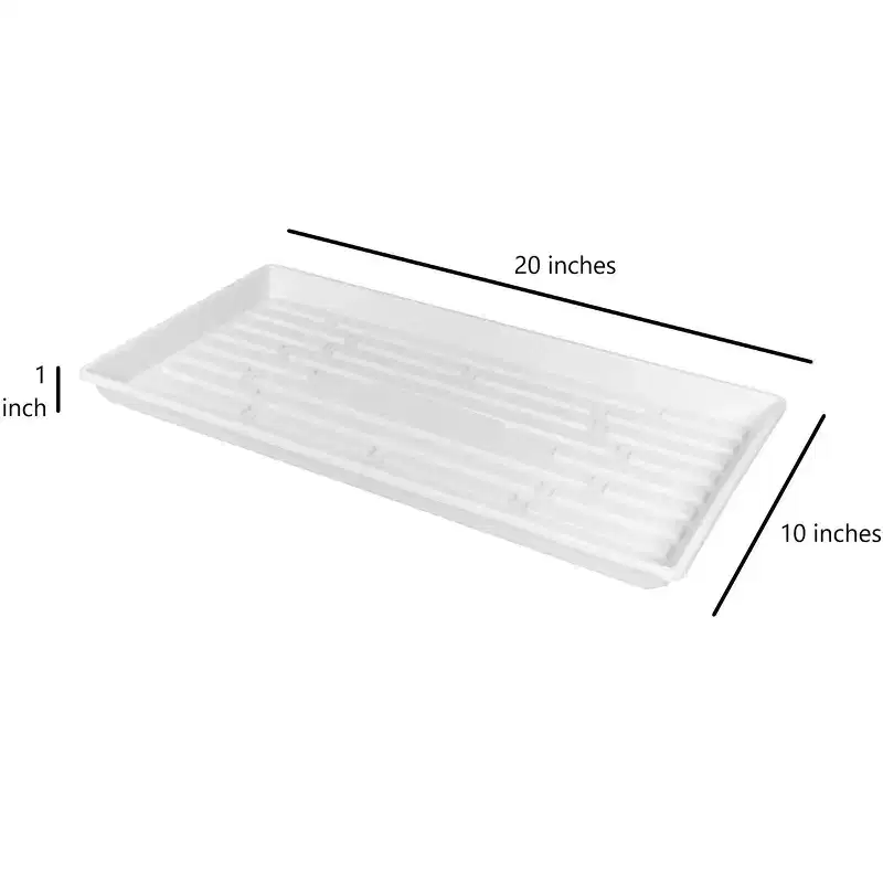 SUNPACK 10 x 20 Heavy Duty Shallow Plastic Seed Starting Tray, 1