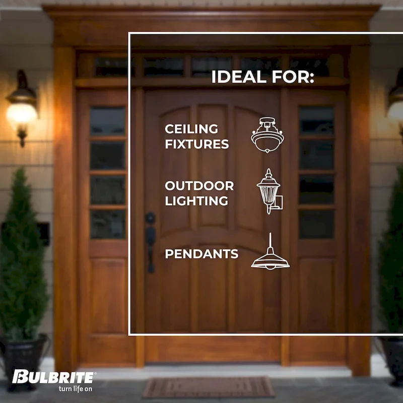 Bulbrite 60 Watt Dimmable Grand Nostalgic Medium (E26) Incandescent Bulb