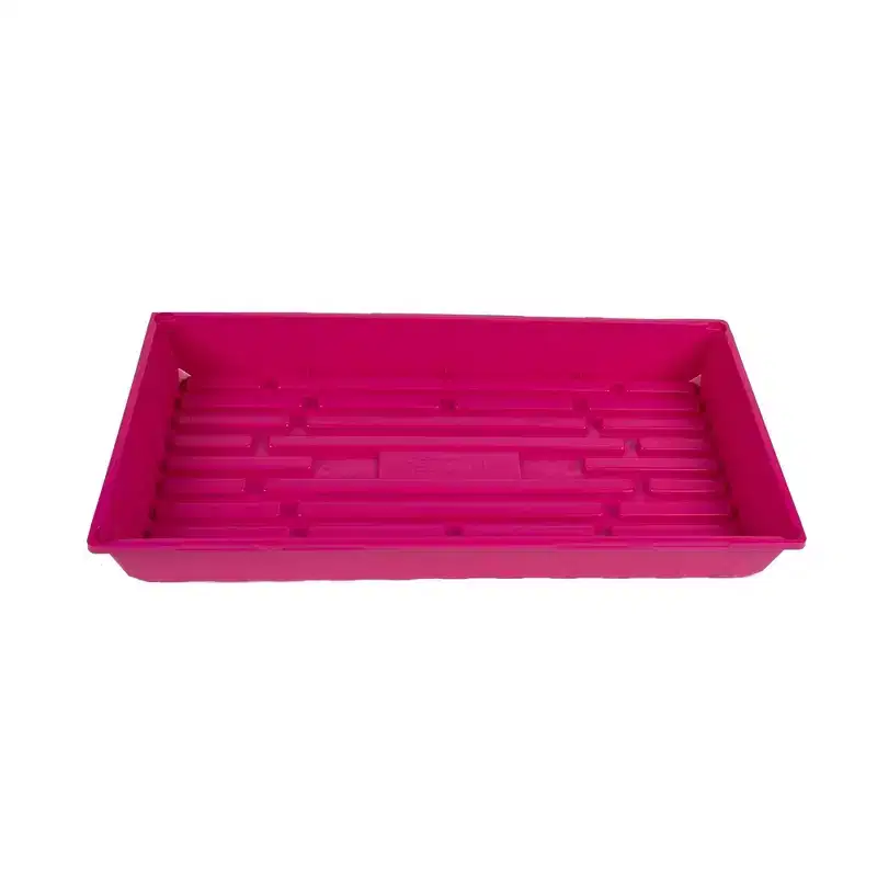 SUNPACK 10 x 20 Mega Plastic Seed Starting Tray, 2.5