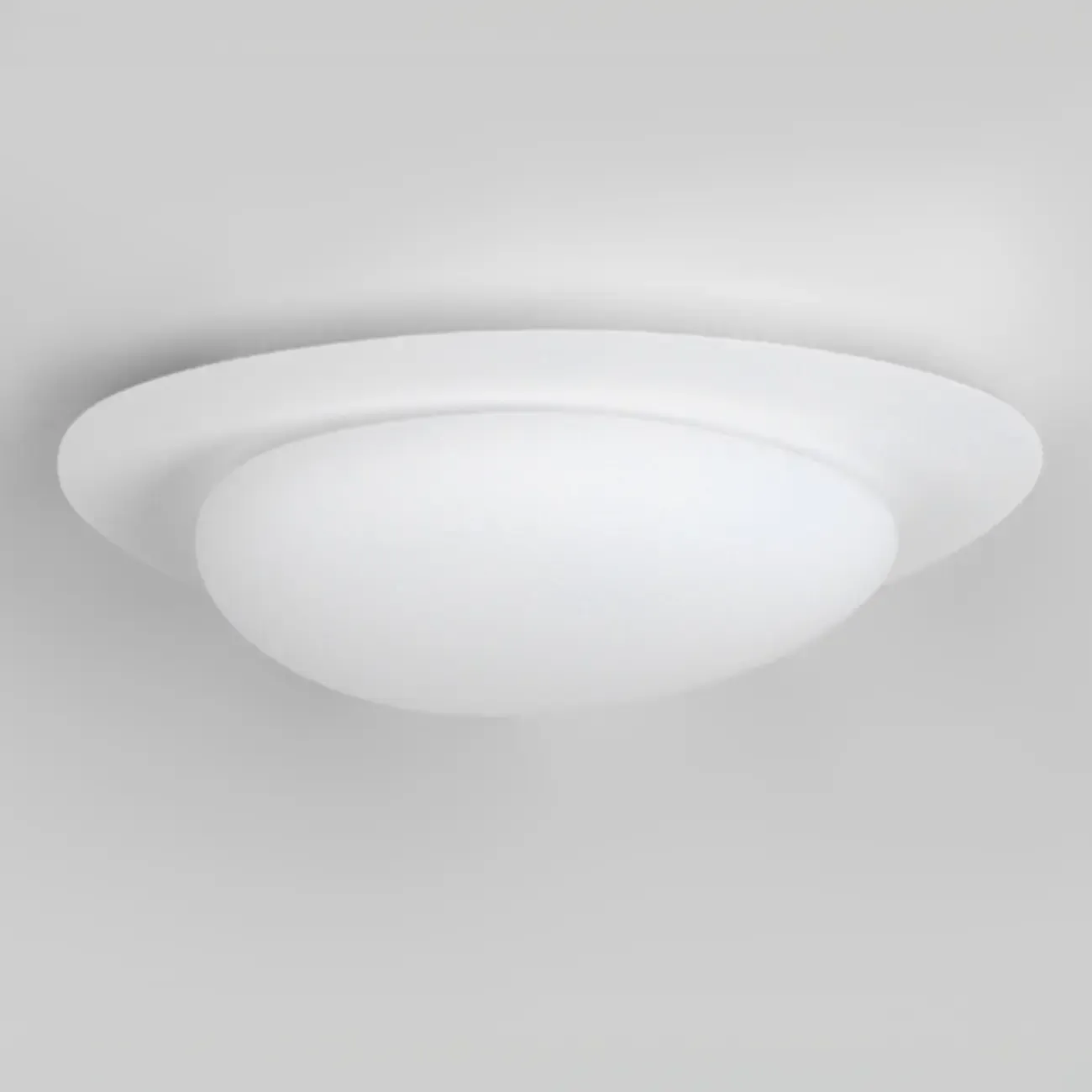 Dimmable Modern LED Flush Mount Ceiling Light with 2-Light
