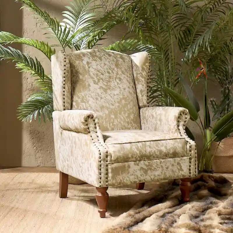 Ivan Traditional Animal Pattern Armchair with Nailhead Trim by HULALA HOME