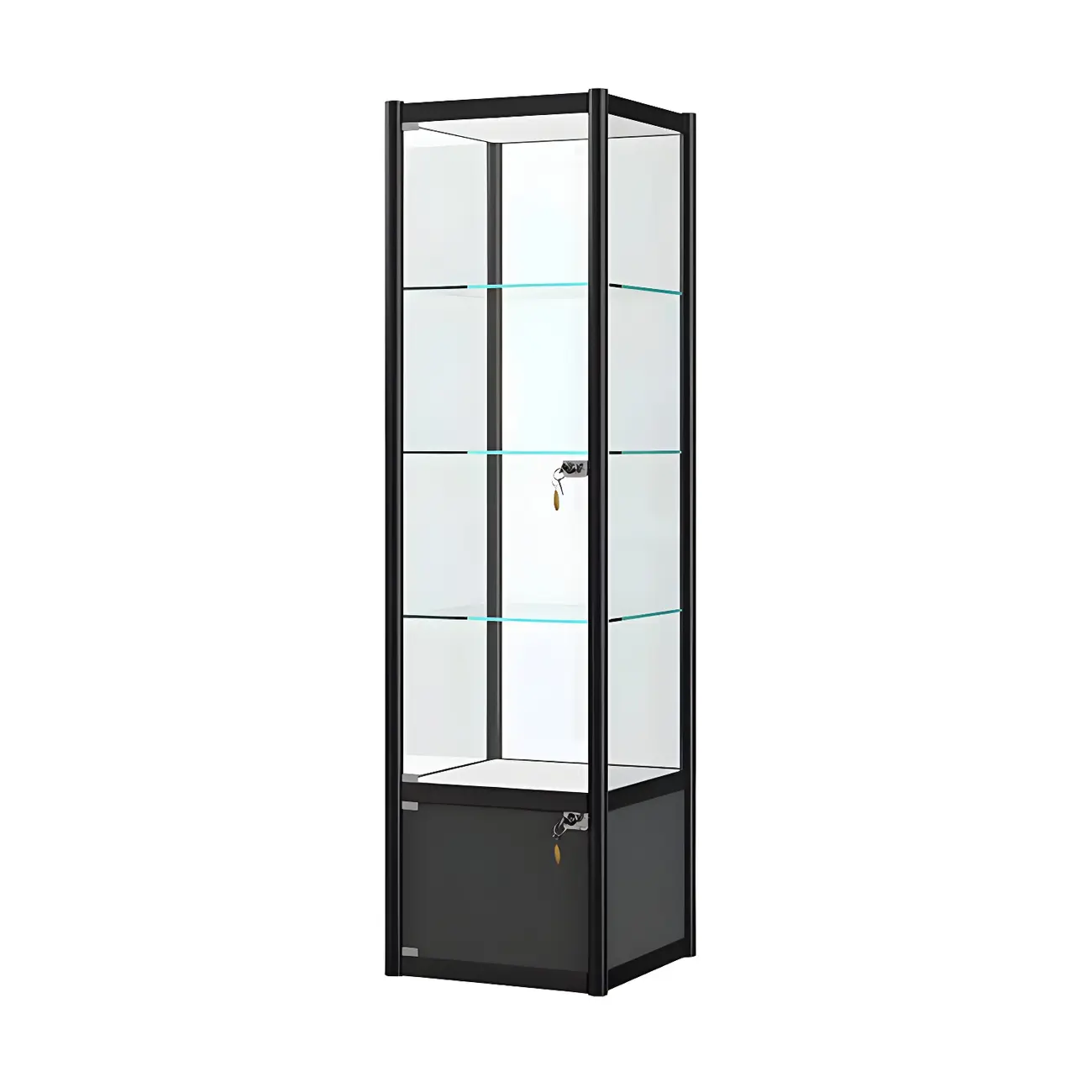 Rectangular Black Clear Glass Metal Frame Curio Cabinet