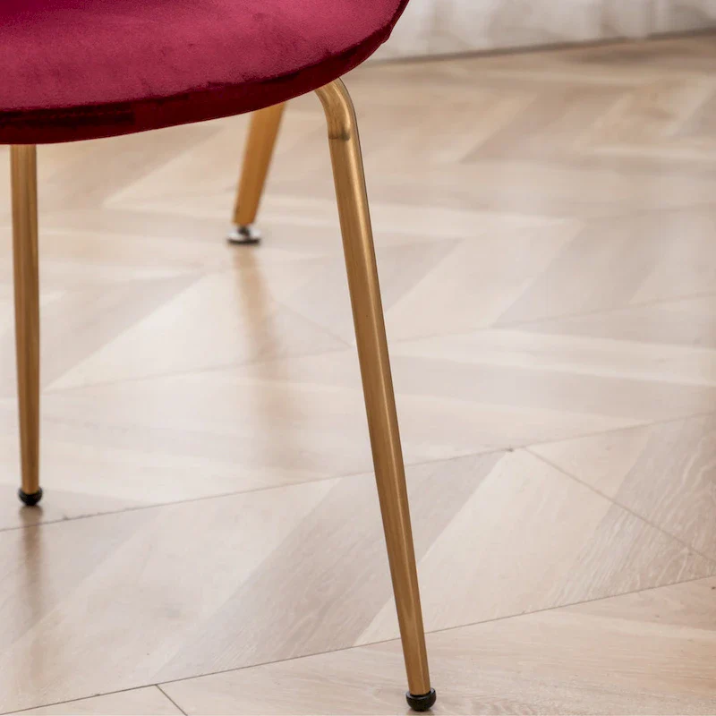 Roundhill Furniture Aufurr Modern Velvet Dining Chair (Set of 2)