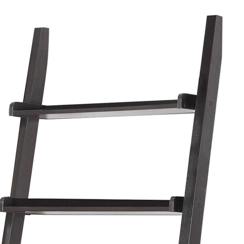 Freakish Ladder Desk With One Drawer, Cappuccino