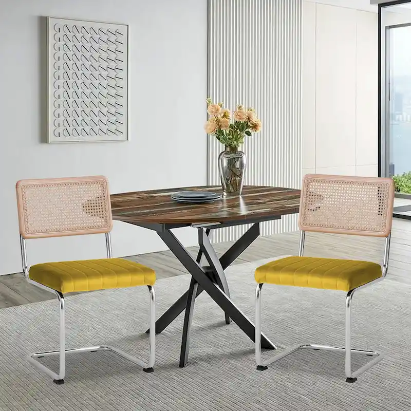 Velvet Upholstered Rattan Dining Chairs Set of 2/4