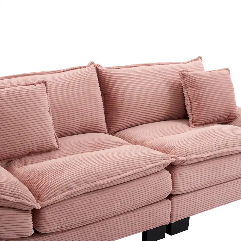 65.5 Upholstered 3-Seater Sofa Couch with Two Pillows and Sturdy Construction