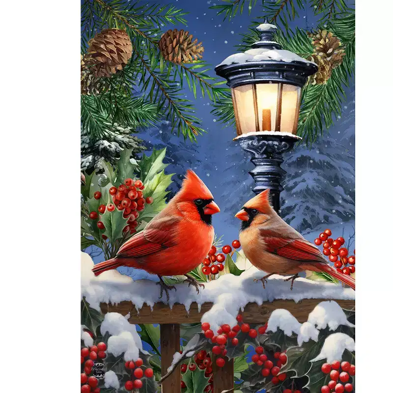 Briarwood Lane Winter House Flag 40x28 For Outdoor Winter Glow Cardinals For Winter House Flag