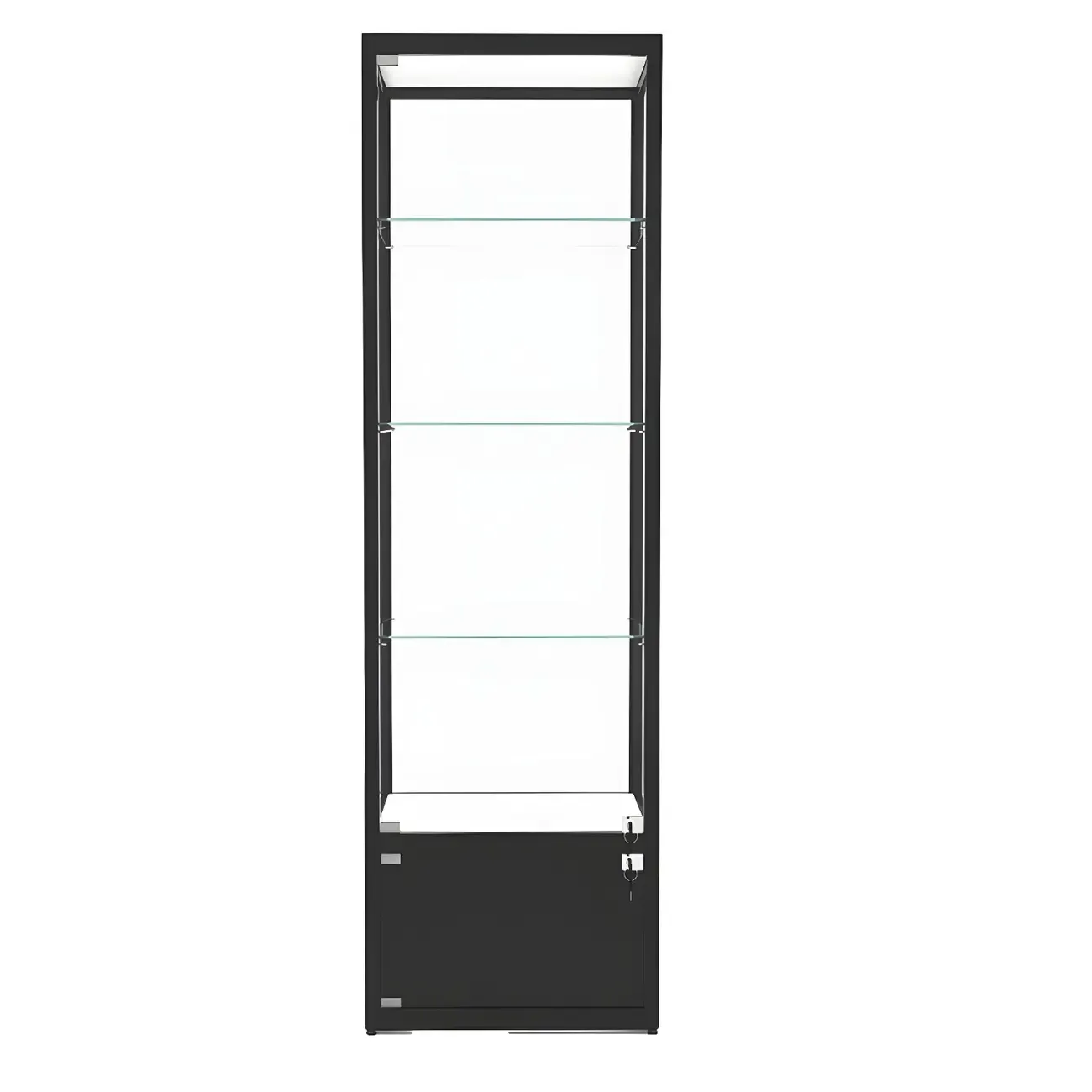 Modern Glass Black Curio Cabinet with Adjustable Shelves