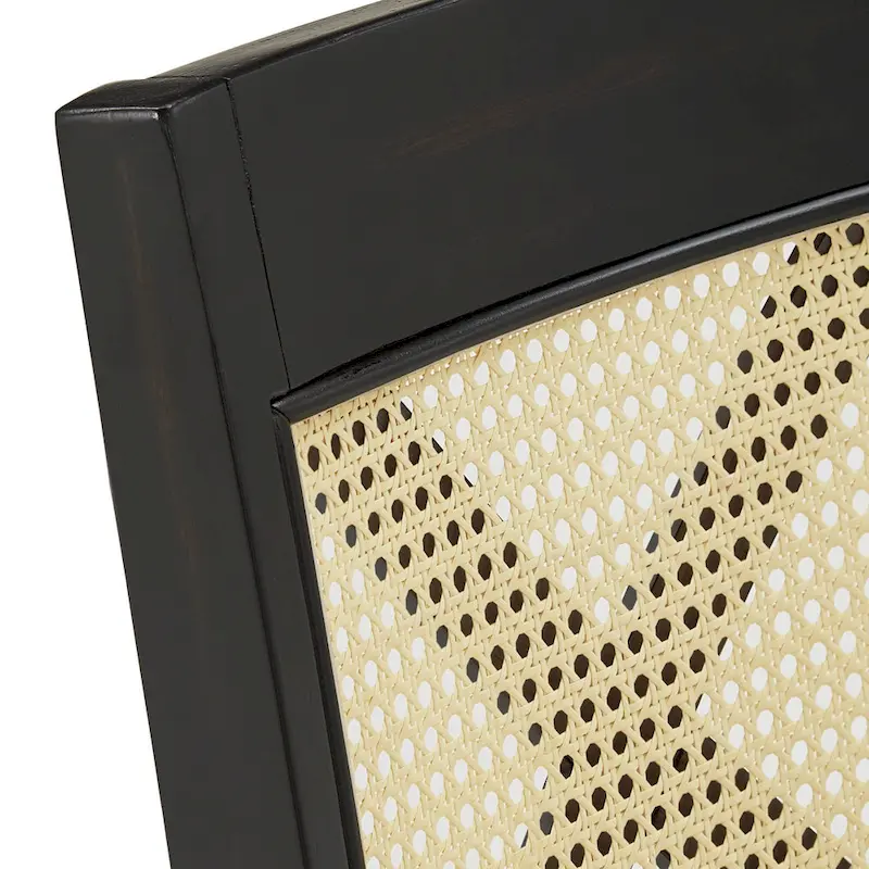 Plaga X-Back Cane Accent Dining Chair (Set of 2) by  - Dining Chair