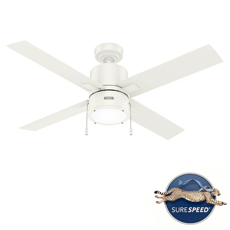 Hunter 52  Beck Ceiling Fan with LED Light Kit and Pull Chain - Transitional, Modern, Farmhouse