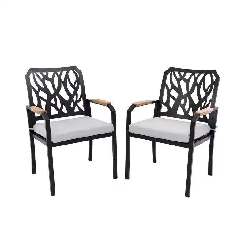 Christopher Knight Home Bella Patio Aluminum Dining Chairs with Sunbrella Cushions (Set of 2)
