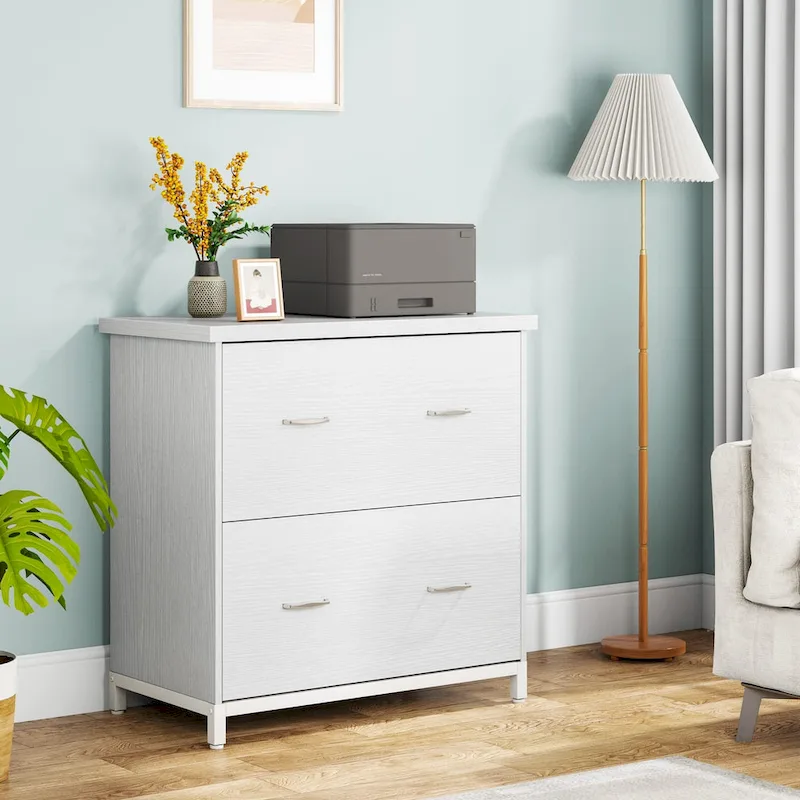 2 Drawer Lateral File Cabinet Printer Stand with Stroage