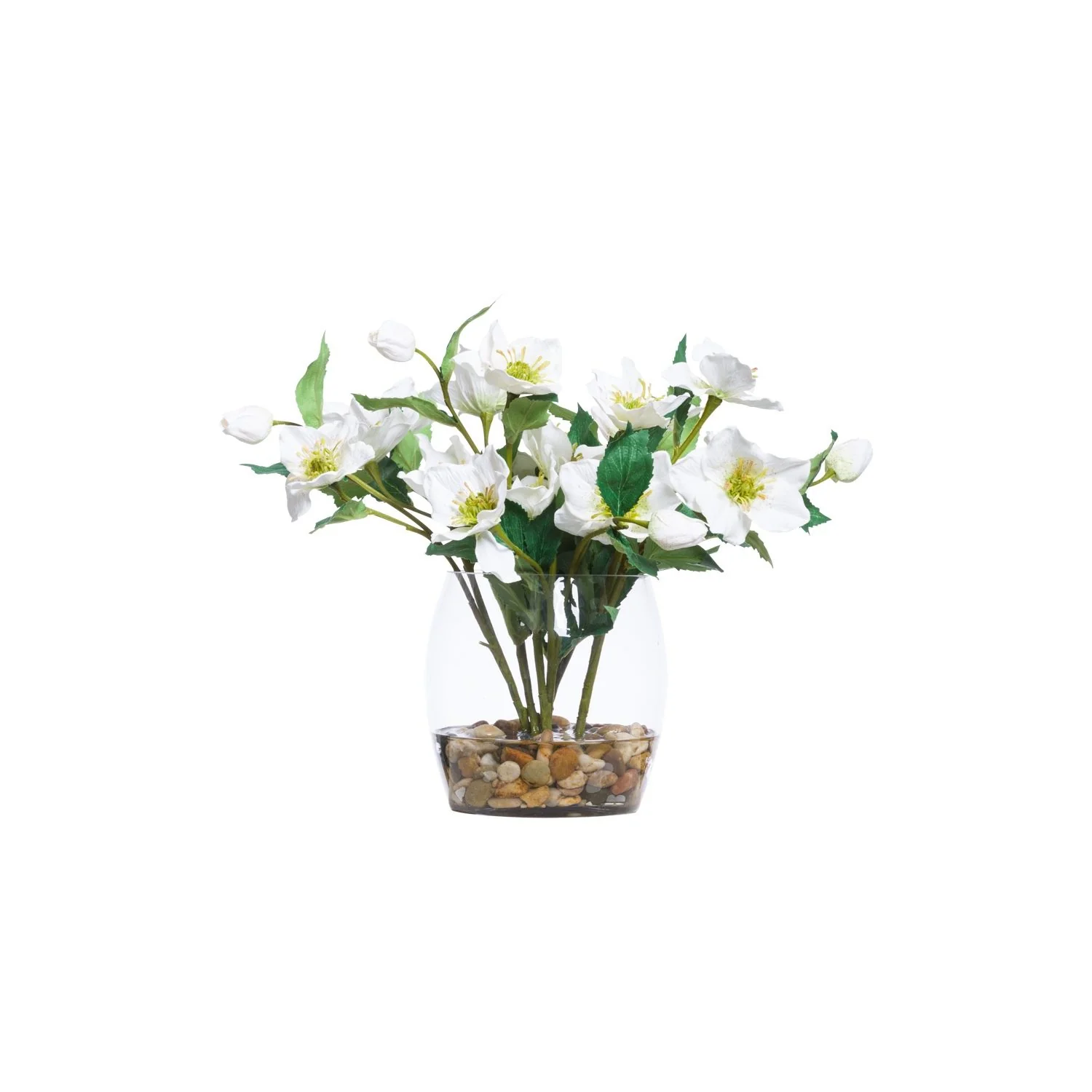 WHITE HELLEBORIS IN BARREL VASE