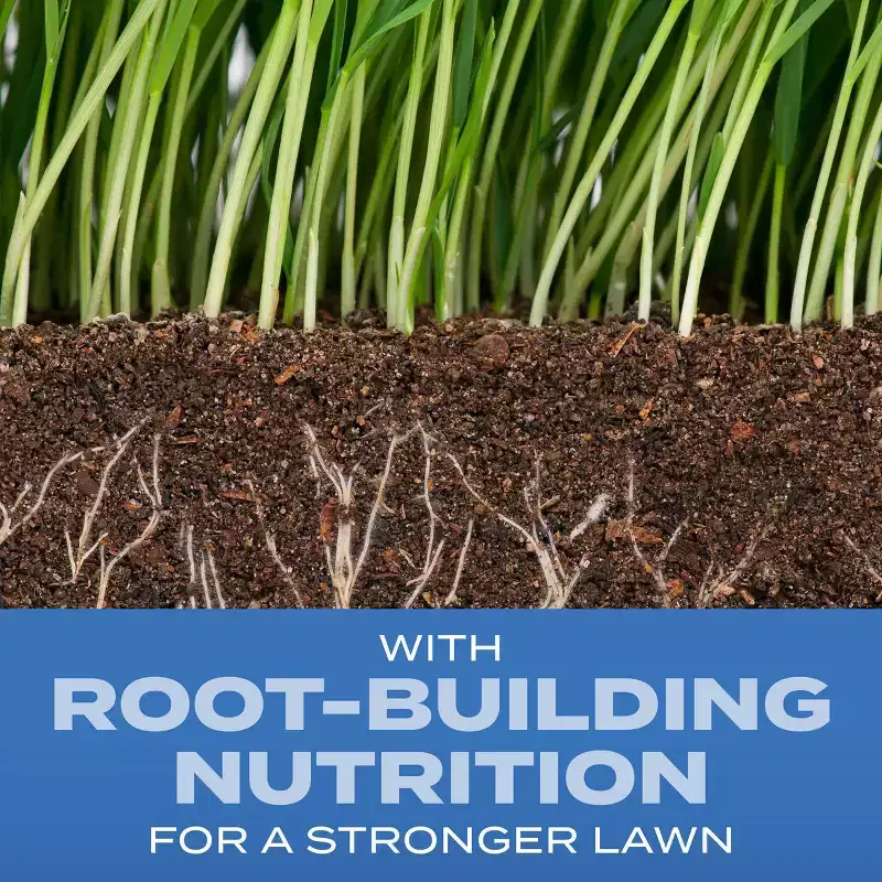 Scotts Turf Builder 2.4lbs Grass Seed Sun and Shade Mix: Lawn Overseeding, Soil Improvement, Quick Germination