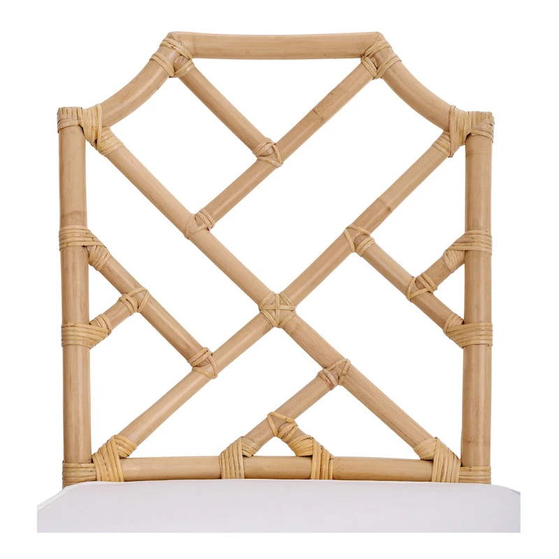 Kara Rattan Dining Side Chair, (Set of 2)