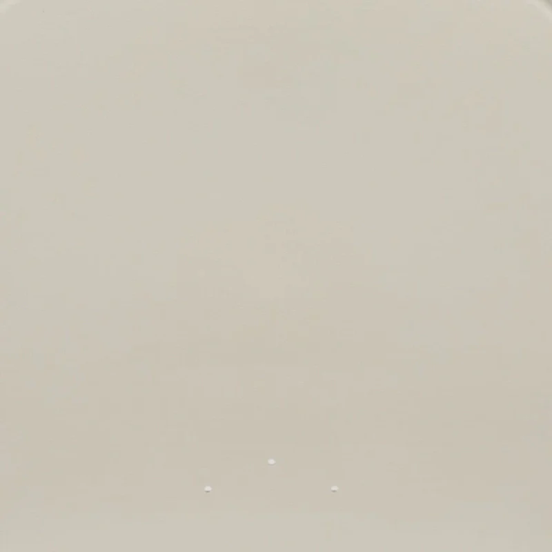 Plastic Folding Chair - 10 Pack 650LB Weight Capacity - Event Chair