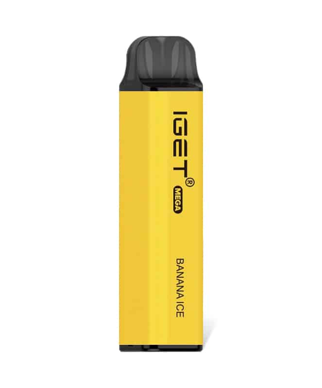 IGET Mega 3000 Puffs