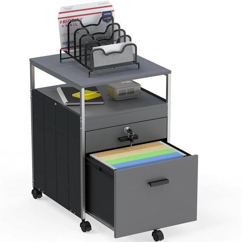 Rolling File Cabinet w/ 2 Drawers