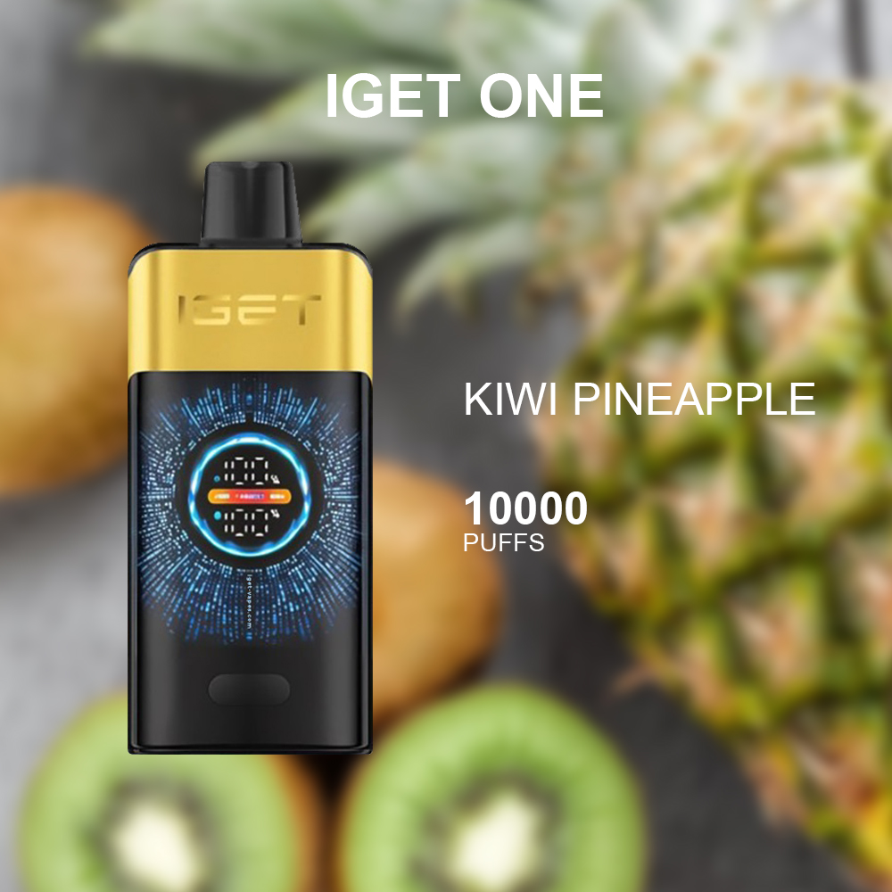 New IGET ONE 12000 Puffs 12 Flavors