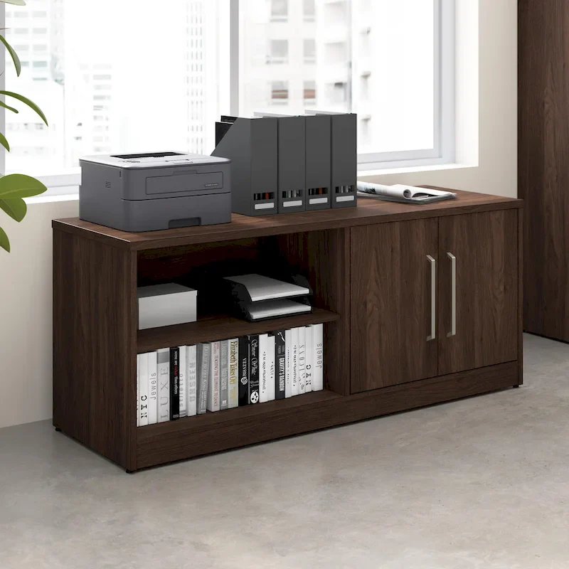 Low Storage Cabinet with Doors and Shelves