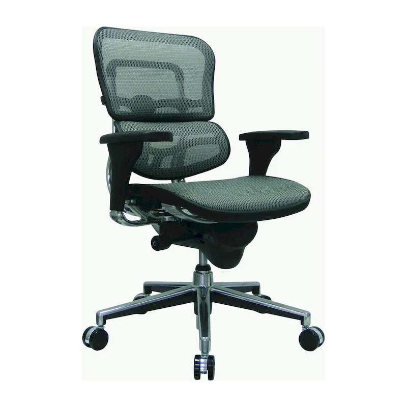 Ergohuman Mesh Managers Chair