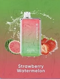 new COOLHAUS 8000 Puffs 10 Flavors