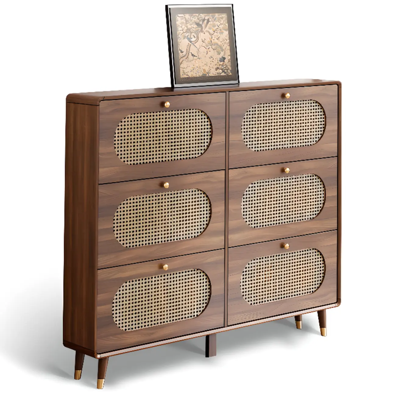 Bohemian Slim Brown Drop-Front Wood Shoe Cabinet