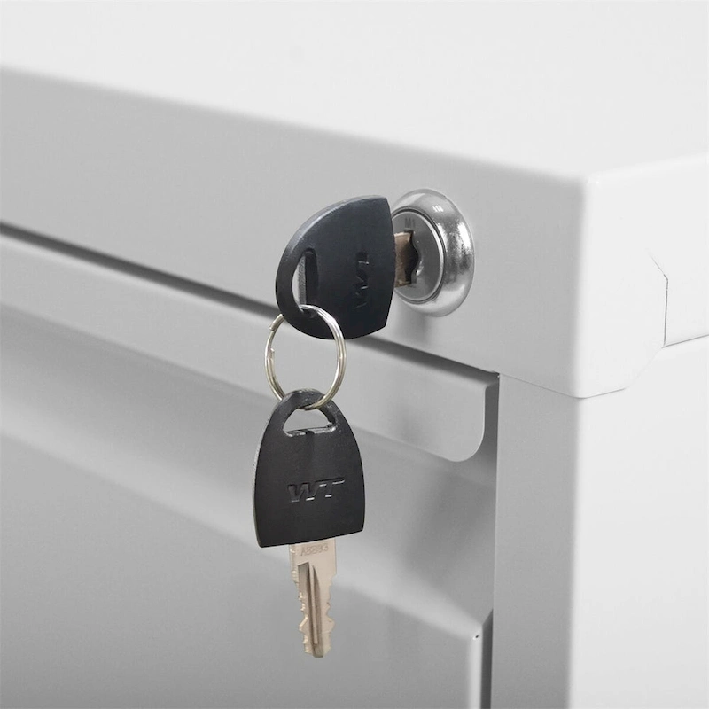 5 Drawer Vertical File Cabinet w/Lock Office Home Steel File Cabinet