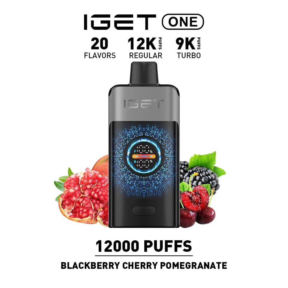 New IGET ONE 12000 Puffs 15 Flavors