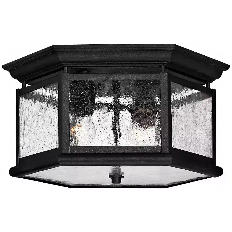 Hinkley Edgewater 13 Wide Black and Water Glass Outdoor Ceiling Light