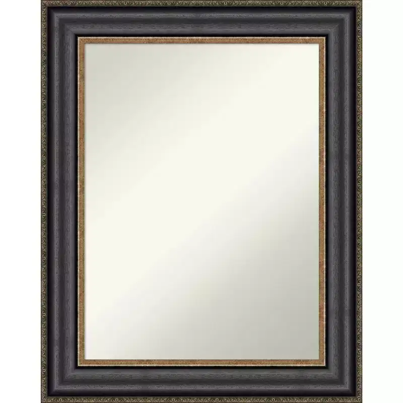 24" x 30" Non-Beveled Thomas Black Bronze Wall Mirror - Amanti Art
