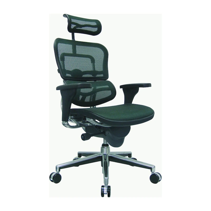 Eurotech Seating Ergohuman Mesh Managers Chair
