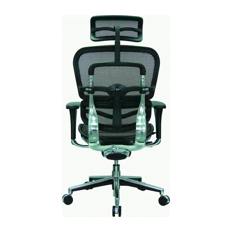 Ergohuman Mesh Managers Chair