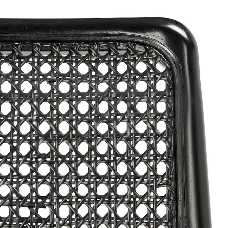 SAFAVIEH Sylva Rattan Cushion Dining Chair (Set of 2) - 19 W x 17.5 L x 32 H - 19Wx18Dx32H