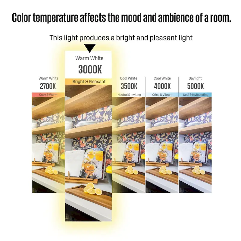 Westinghouse Lighting 5.5-Watt (40-Watt Equivalent) Clear Cut Glass G25 Dimmable Filament LED Light Bulb, Medium Base, 6 Pack
