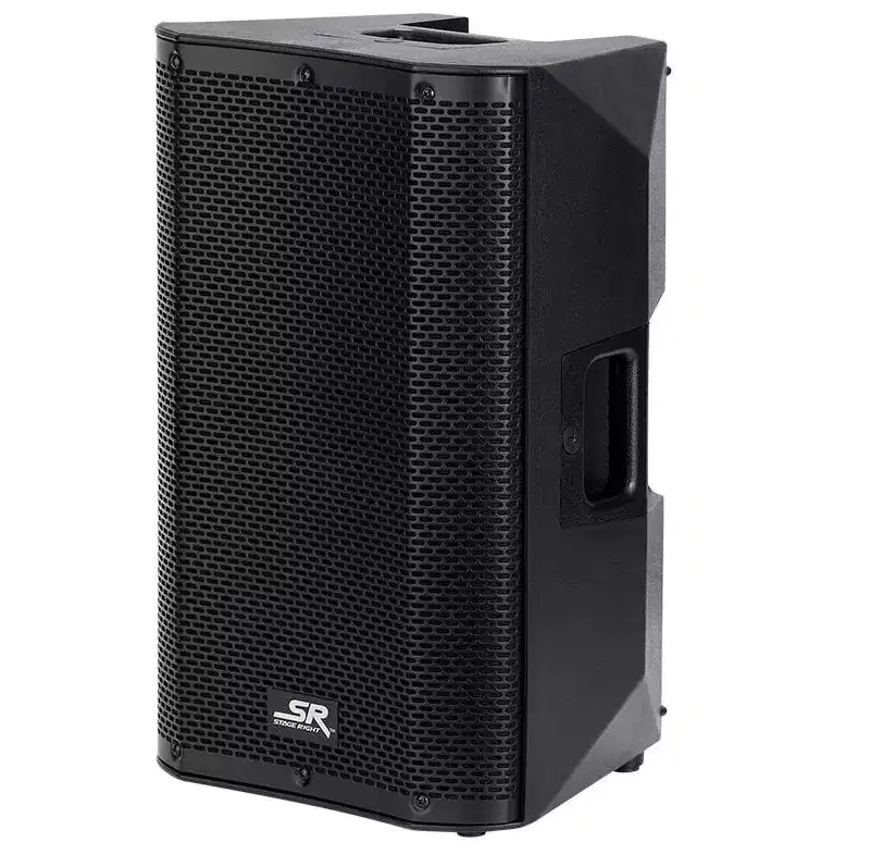 Monoprice SRD210 Powered Speaker 10in, with Class D Amp, Built-in Digital Sound Processor DSP, and Bluetooth Streaming, Portable and Lightweight