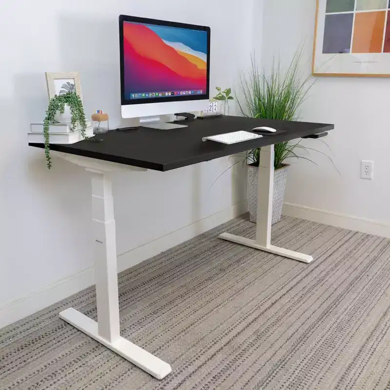 Mount-It! Dual Motor Electric Standing Desk with 55 Tabletop, Black & White