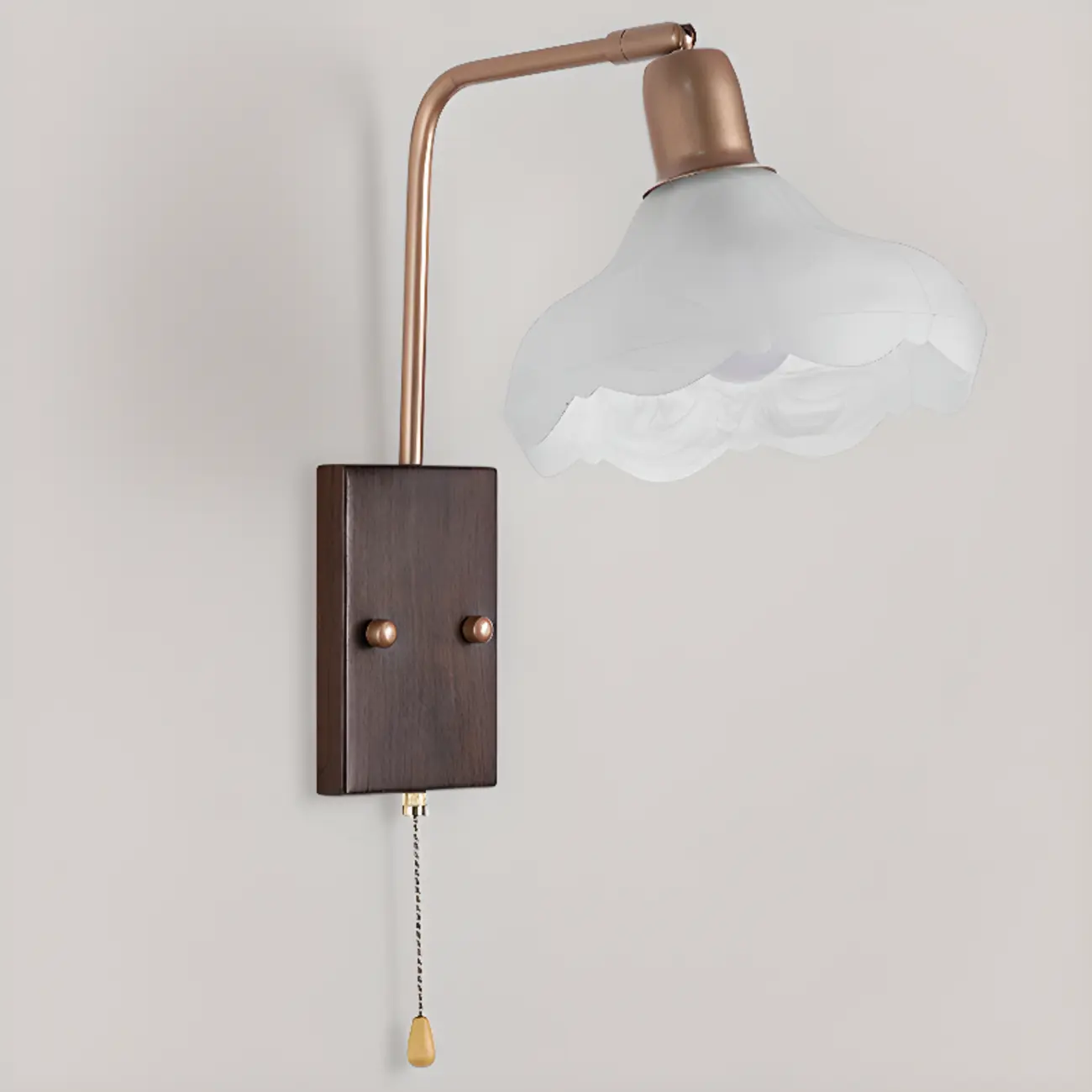 Elegant Swing Arm Wall Mount Light with Pull Chain Switch