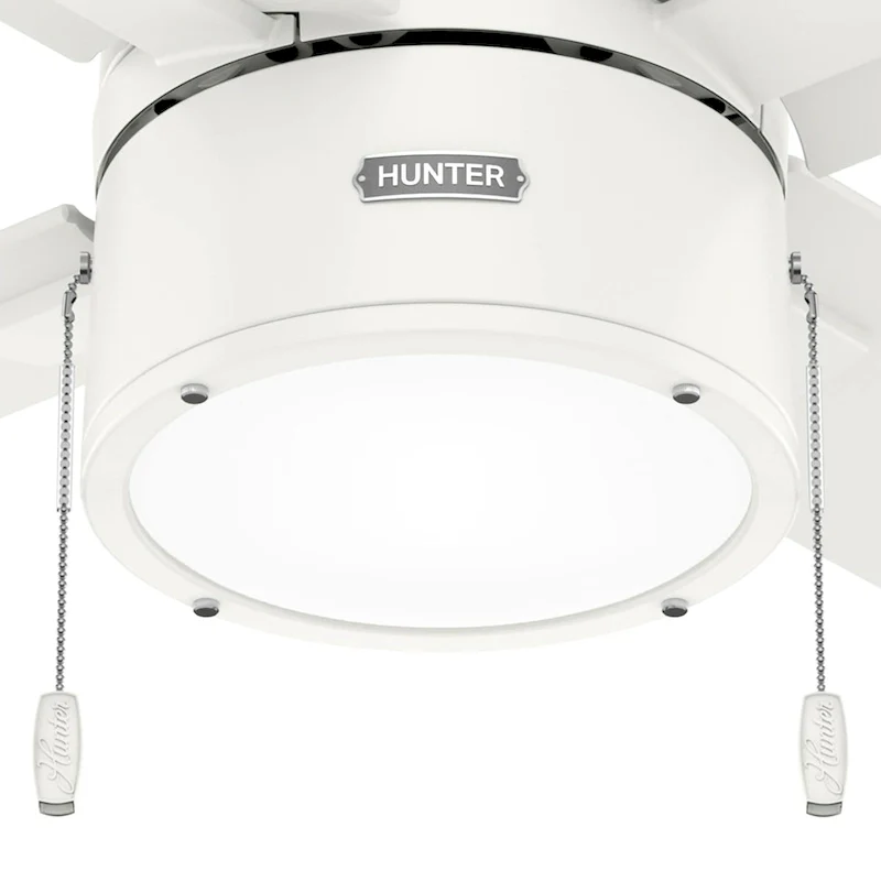 Hunter 52  Beck Ceiling Fan with LED Light Kit and Pull Chain - Transitional, Modern, Farmhouse